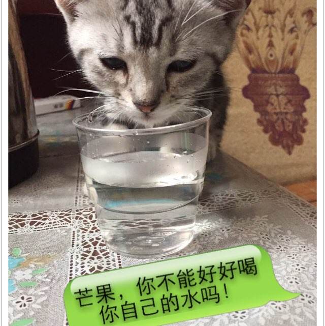 爱丁堡大学成绩单电子图